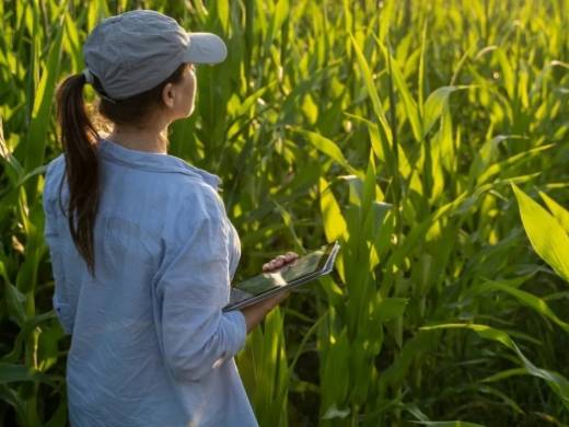 Meet these 4 innovative farmers at 2026 Farm Progress Show